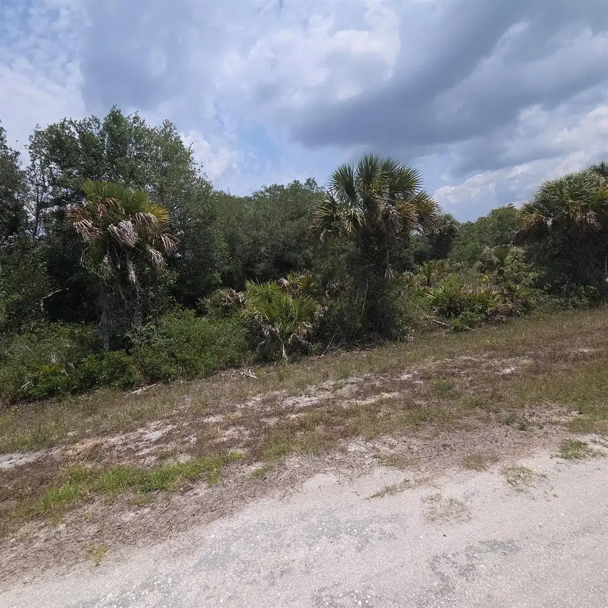 15777 NW 306th Street, Okeechobee FL 34972 photo 2