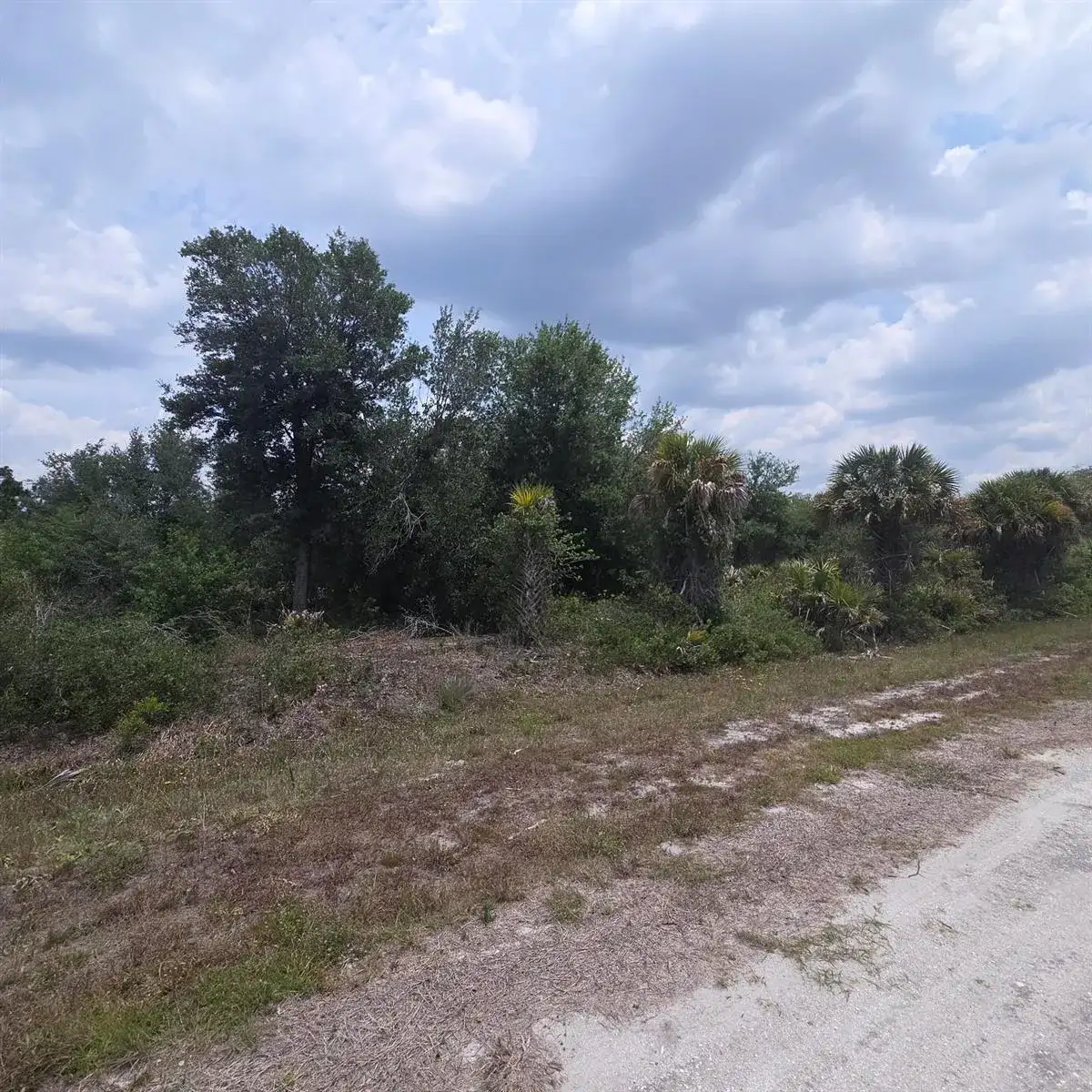 15777 NW 306th Street, Okeechobee FL 34972 photo 3