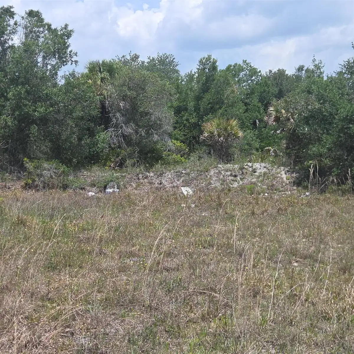 15777 NW 306th Street, Okeechobee FL 34972 photo 4