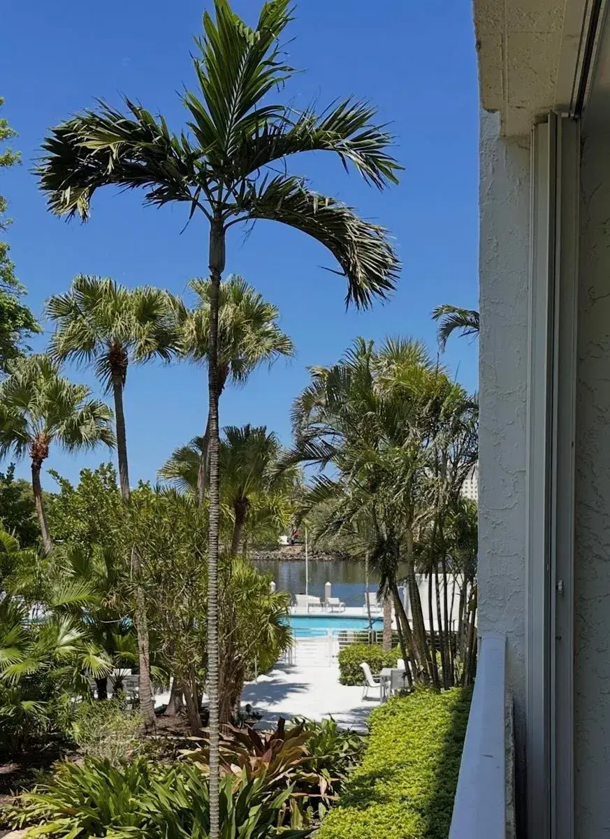 1160 N Federal Highway # 215, Fort Lauderdale FL 33304