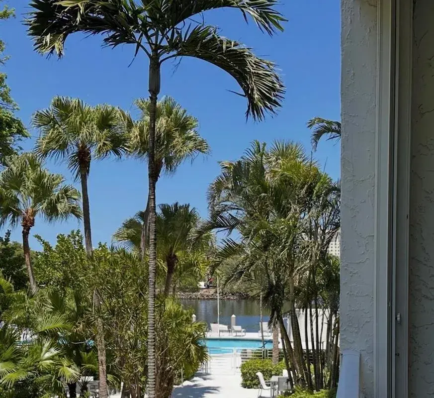 1160 N Federal Highway # 215, Fort Lauderdale FL 33304