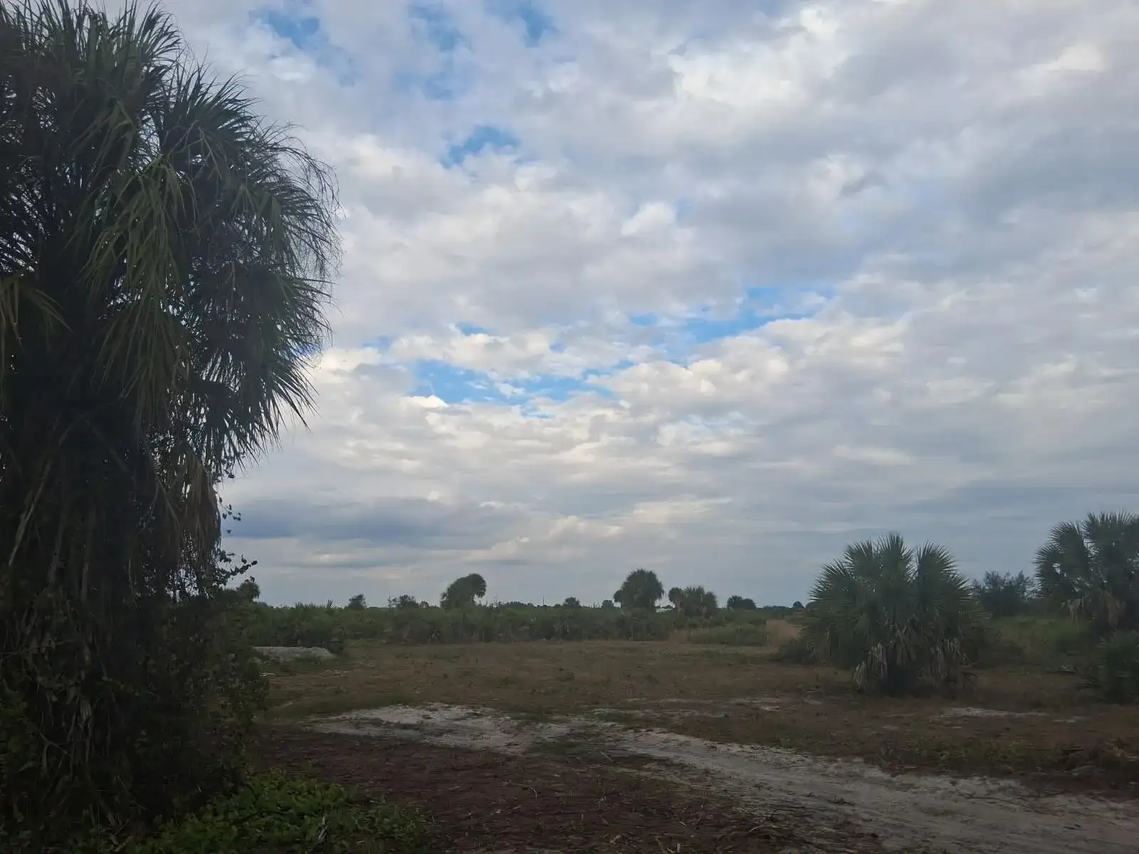 21583 NW 274th Street, Okeechobee FL 34972 photo 2