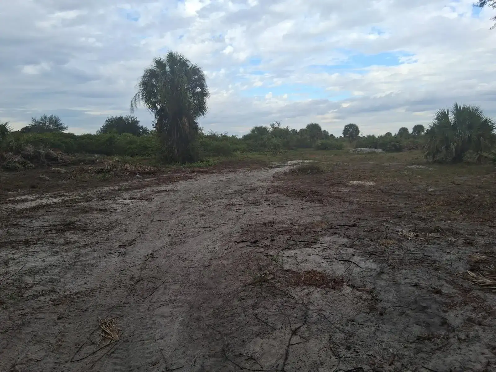 21583 NW 274th Street, Okeechobee FL 34972 photo 3