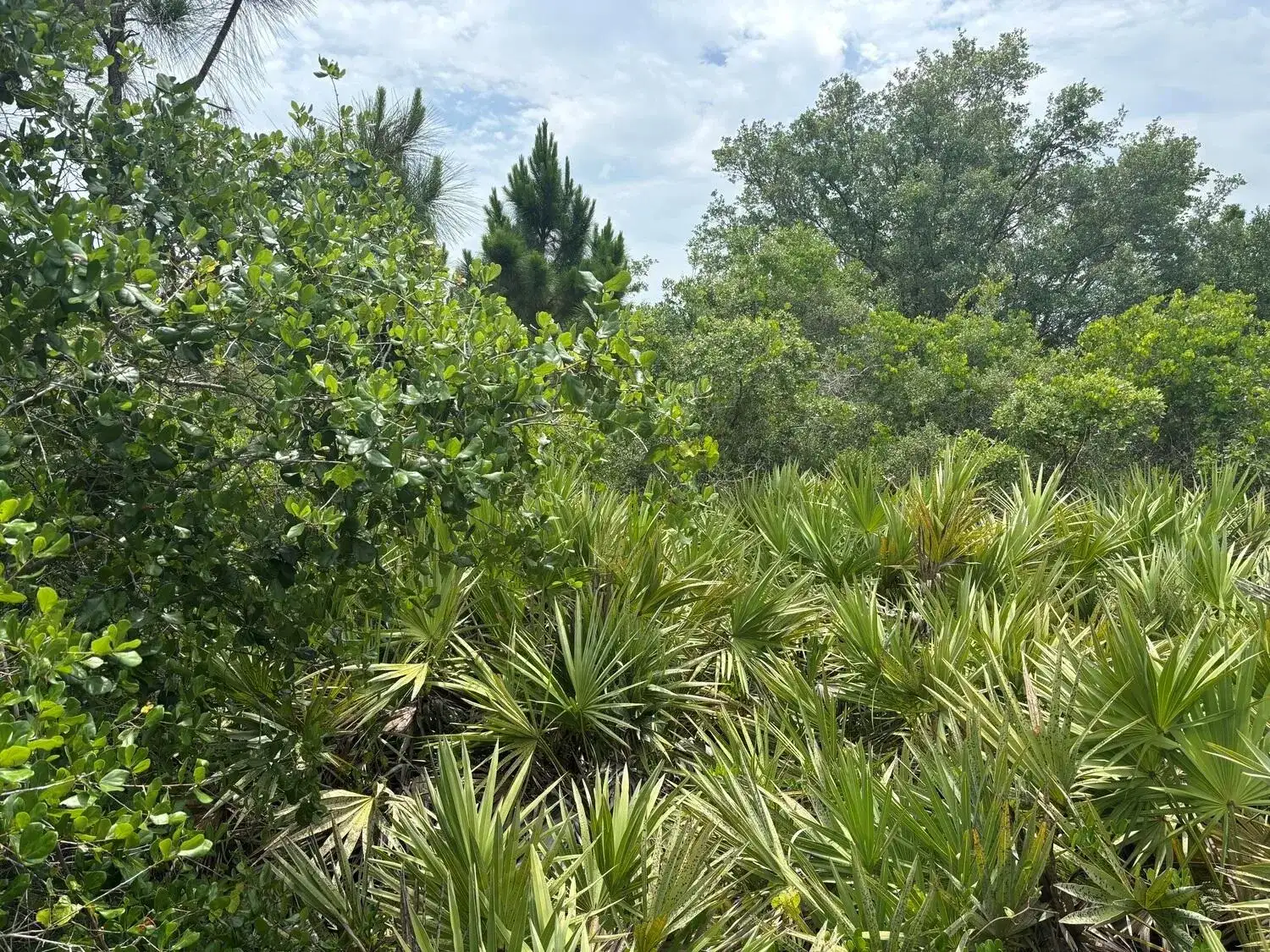 0 Turnpike Feeder Road, Fort Pierce FL 34945 photo 2