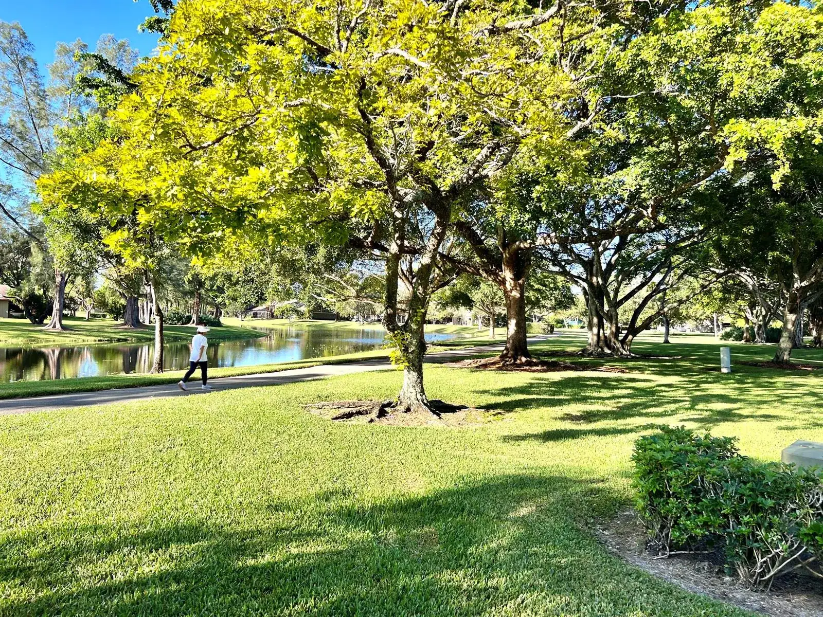 22303 Misty Woods Way, Boca Raton FL 33428 photo 3