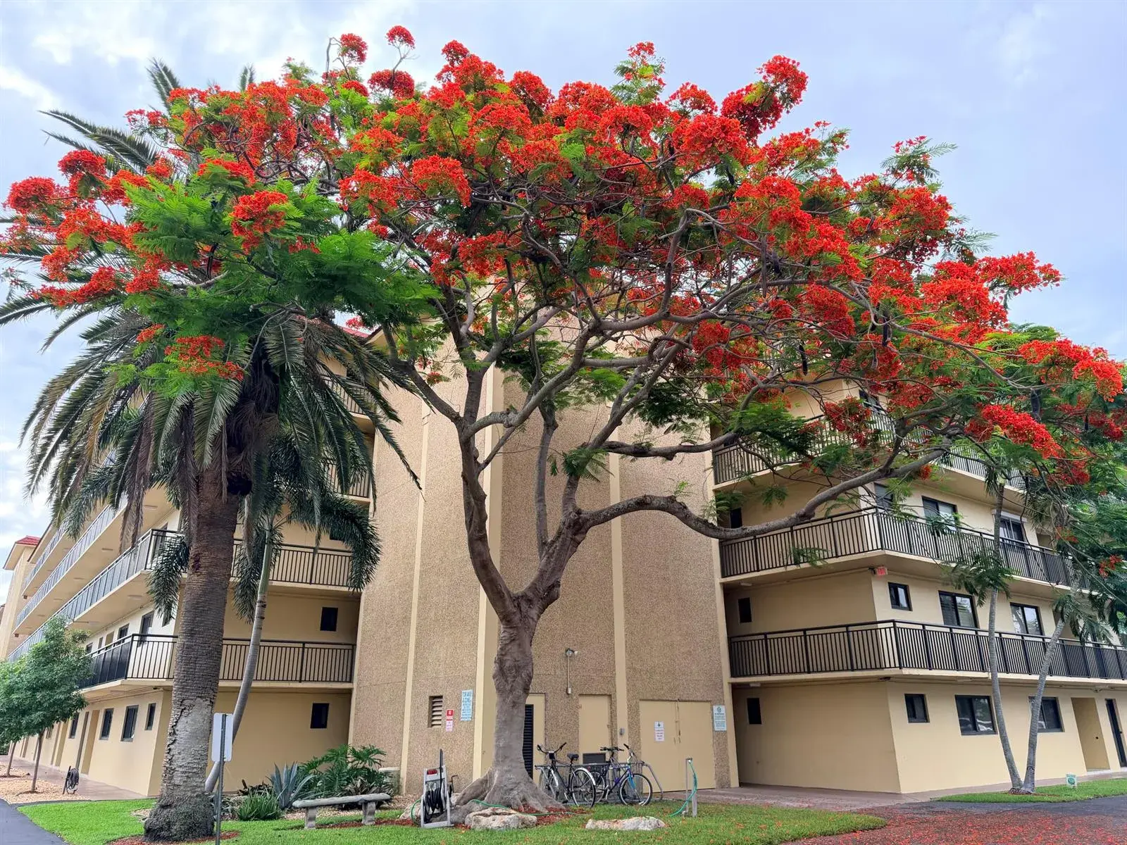 2601 NE 14th Street # 535, Pompano Beach FL 33062