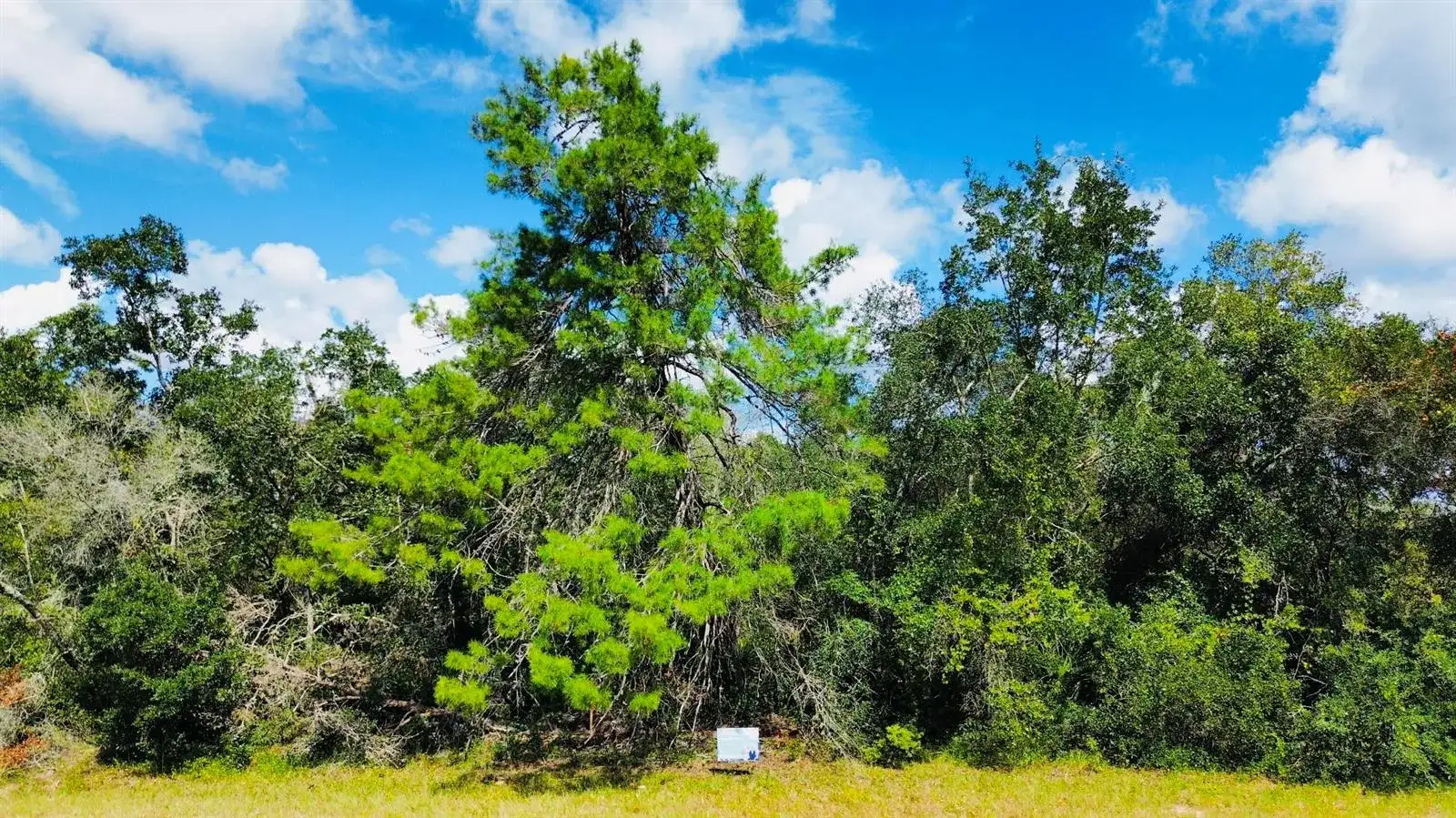 Tbd SW 37th Circle, Ocala FL 34473 photo 2