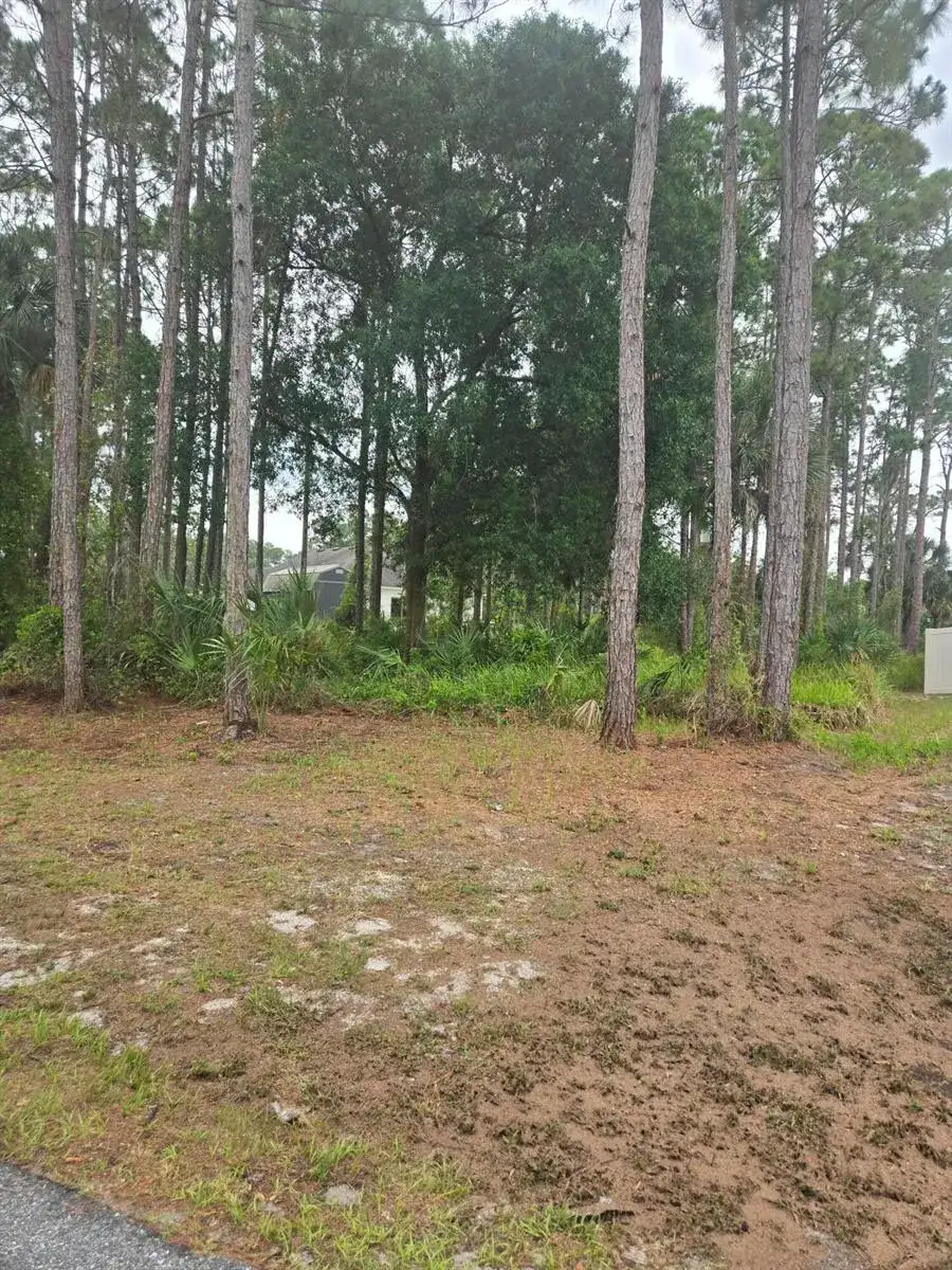 1836 Pindo Court NW, Palm Bay FL 32909 photo 3