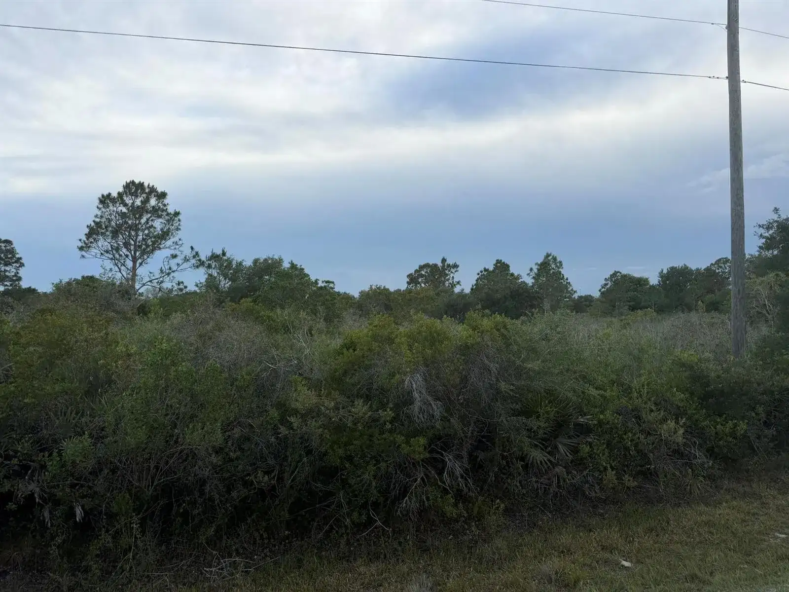 15840 NW 298th Street, Okeechobee FL 34972 photo 2