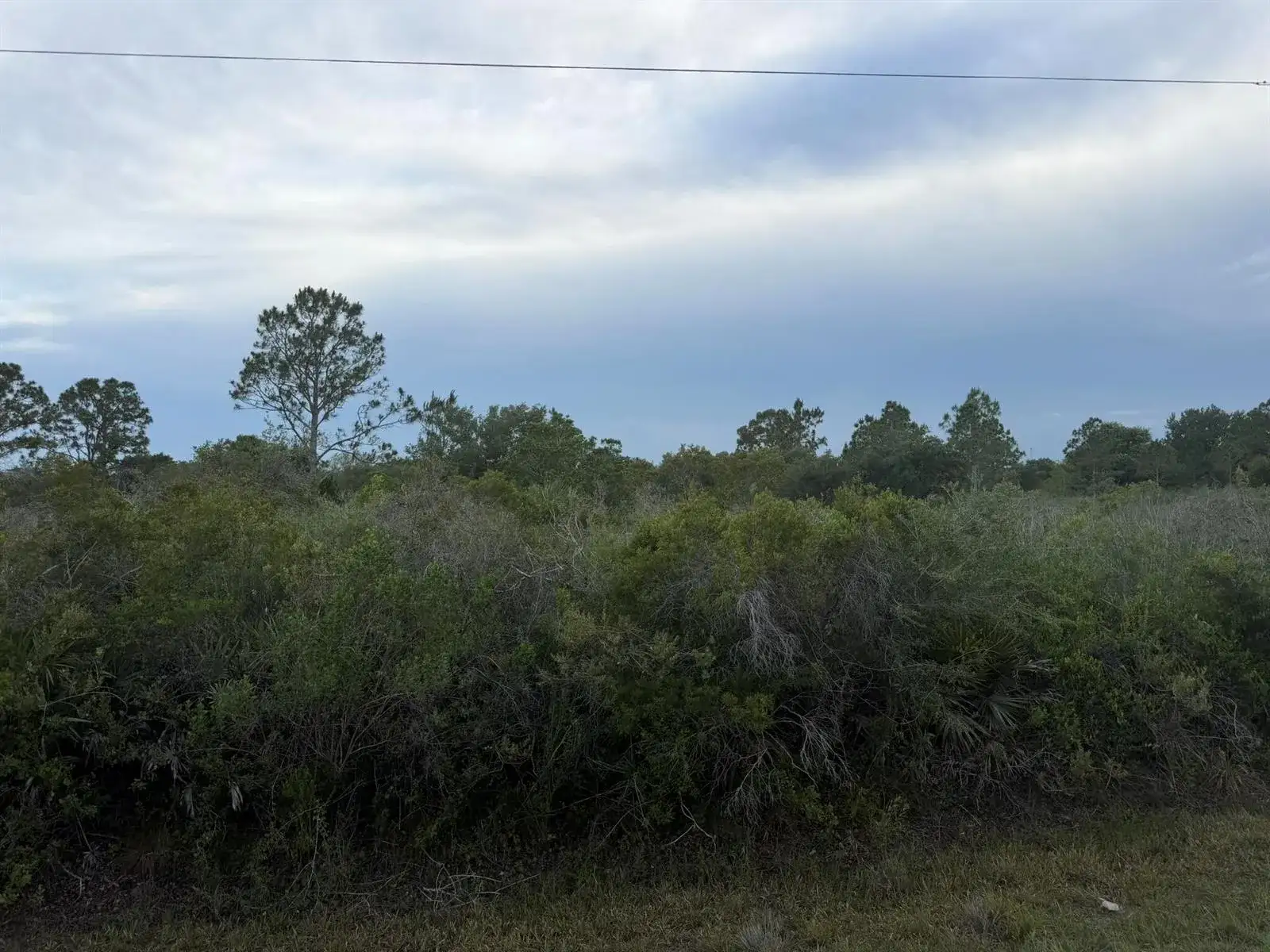 15840 NW 298th Street, Okeechobee FL 34972 photo 3