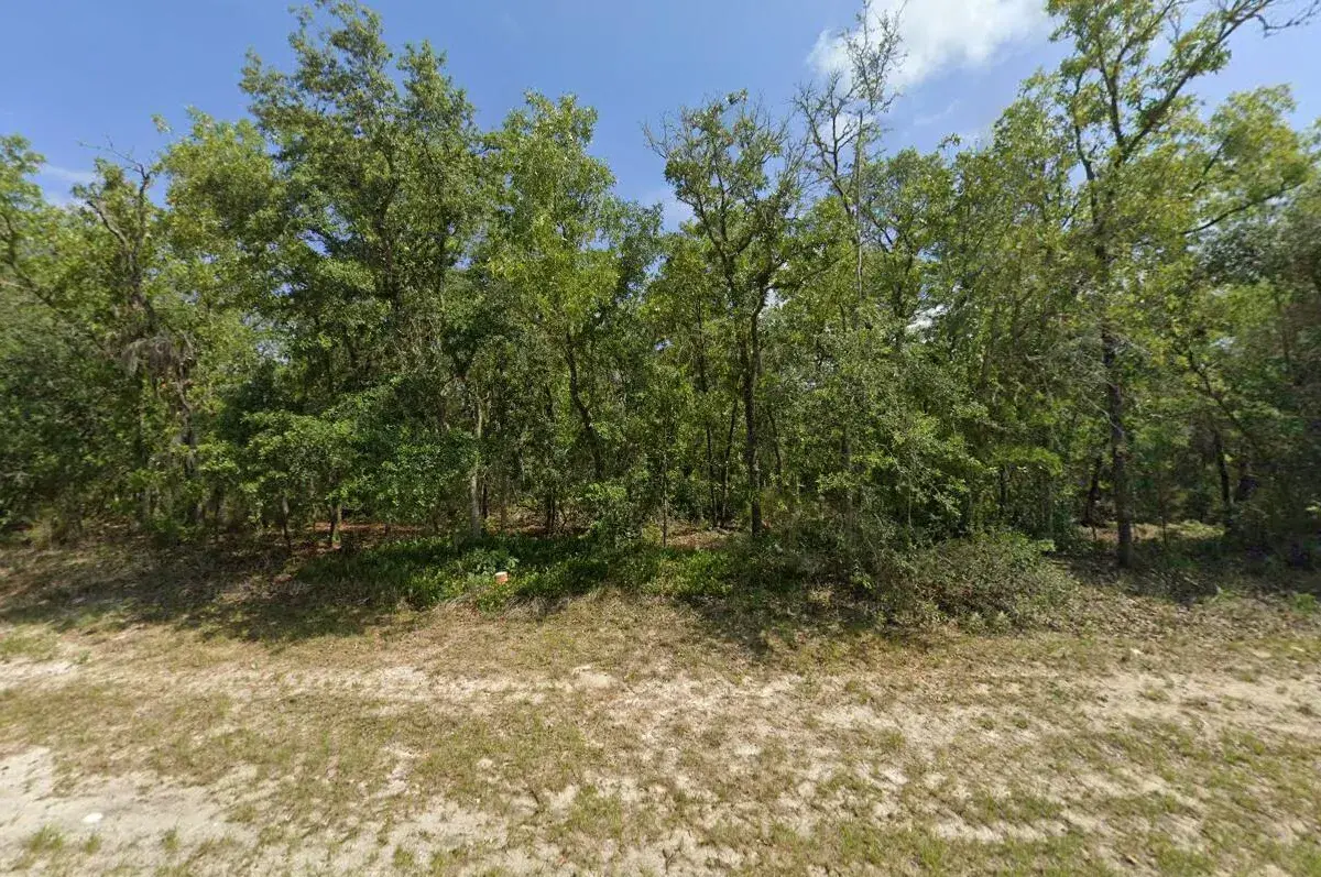 Tbd SW 72nd Circle, FL 34432