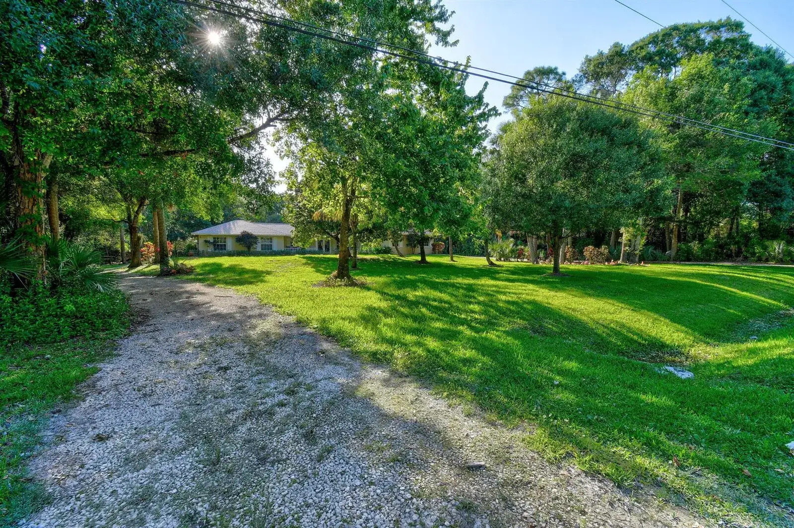17861 Winterhawk Trail, FL 33478 photo 2