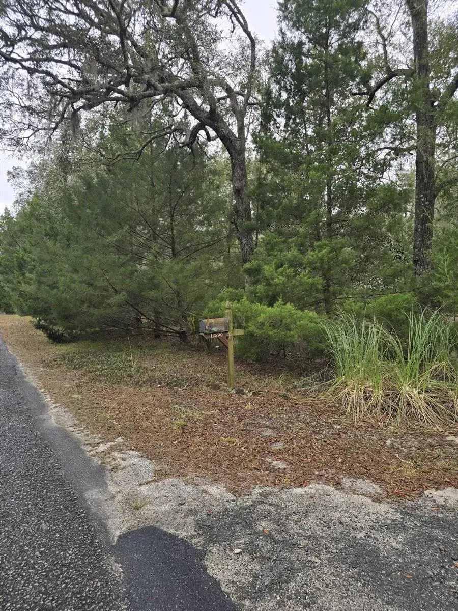 12890 NW 90th Avenue, FL 32626