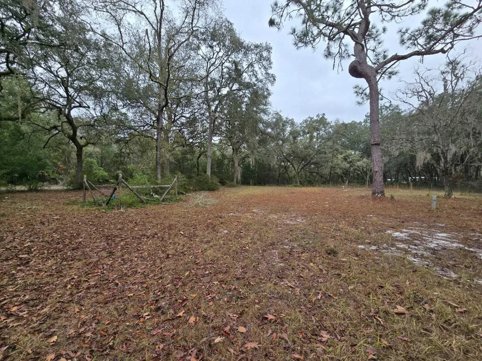 12890 NW 90th Avenue, FL 32626