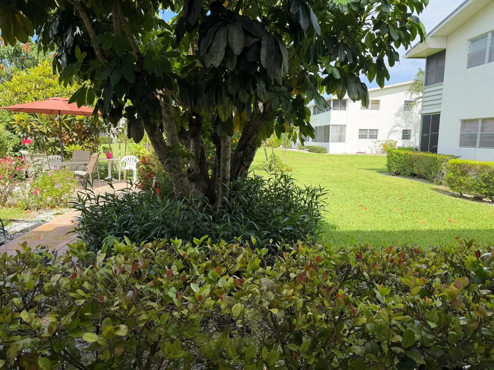 162 Windsor H, West Palm Beach FL 33417 photo 4