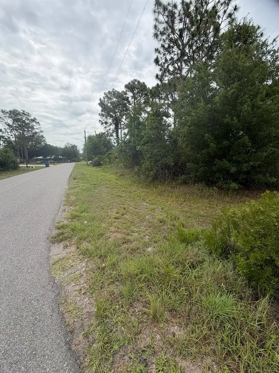 1170 Kingfisher Avenue NW, Lake Placid FL 33852 photo 3