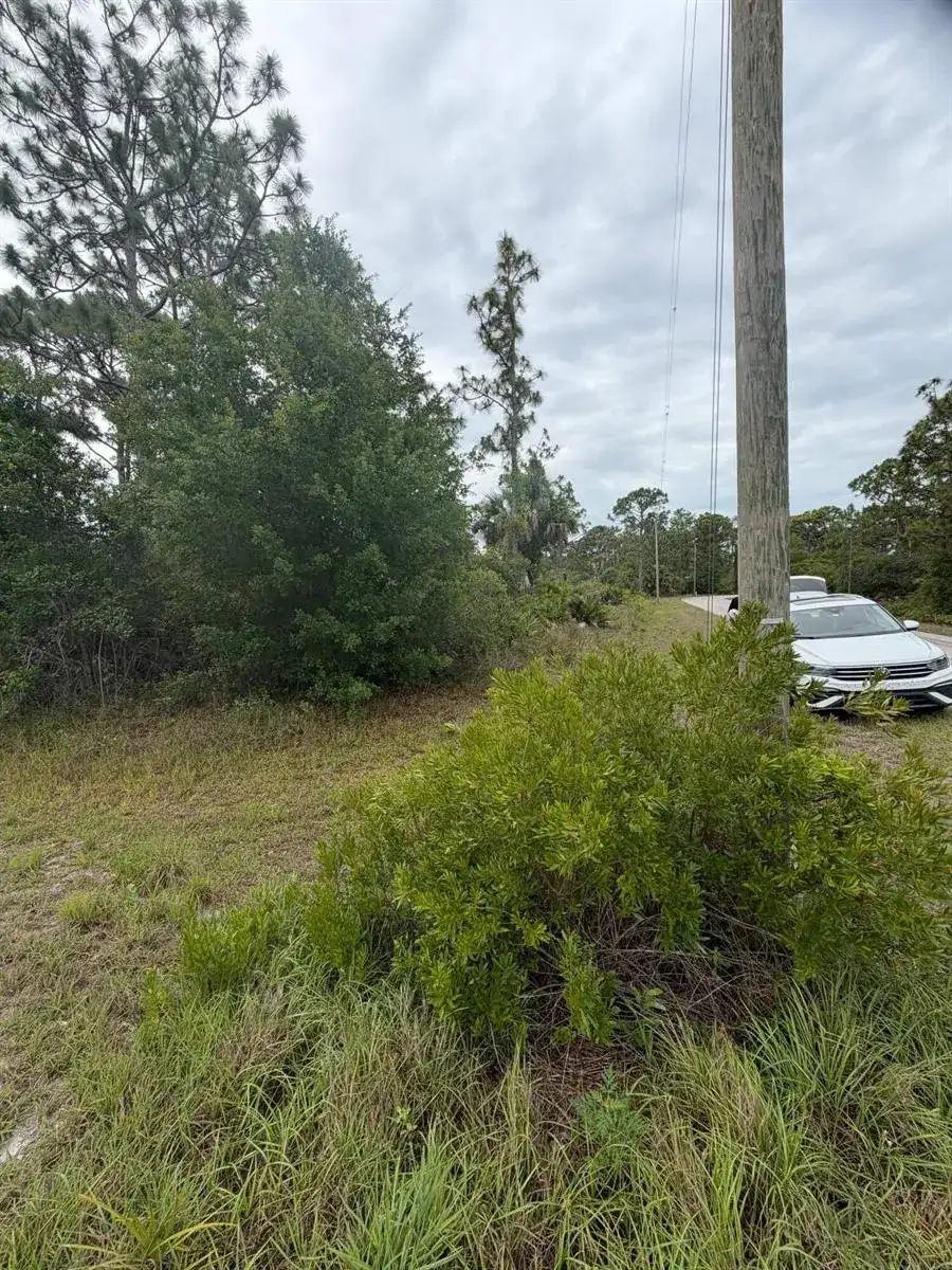1170 Kingfisher Avenue NW, Lake Placid FL 33852 photo 4