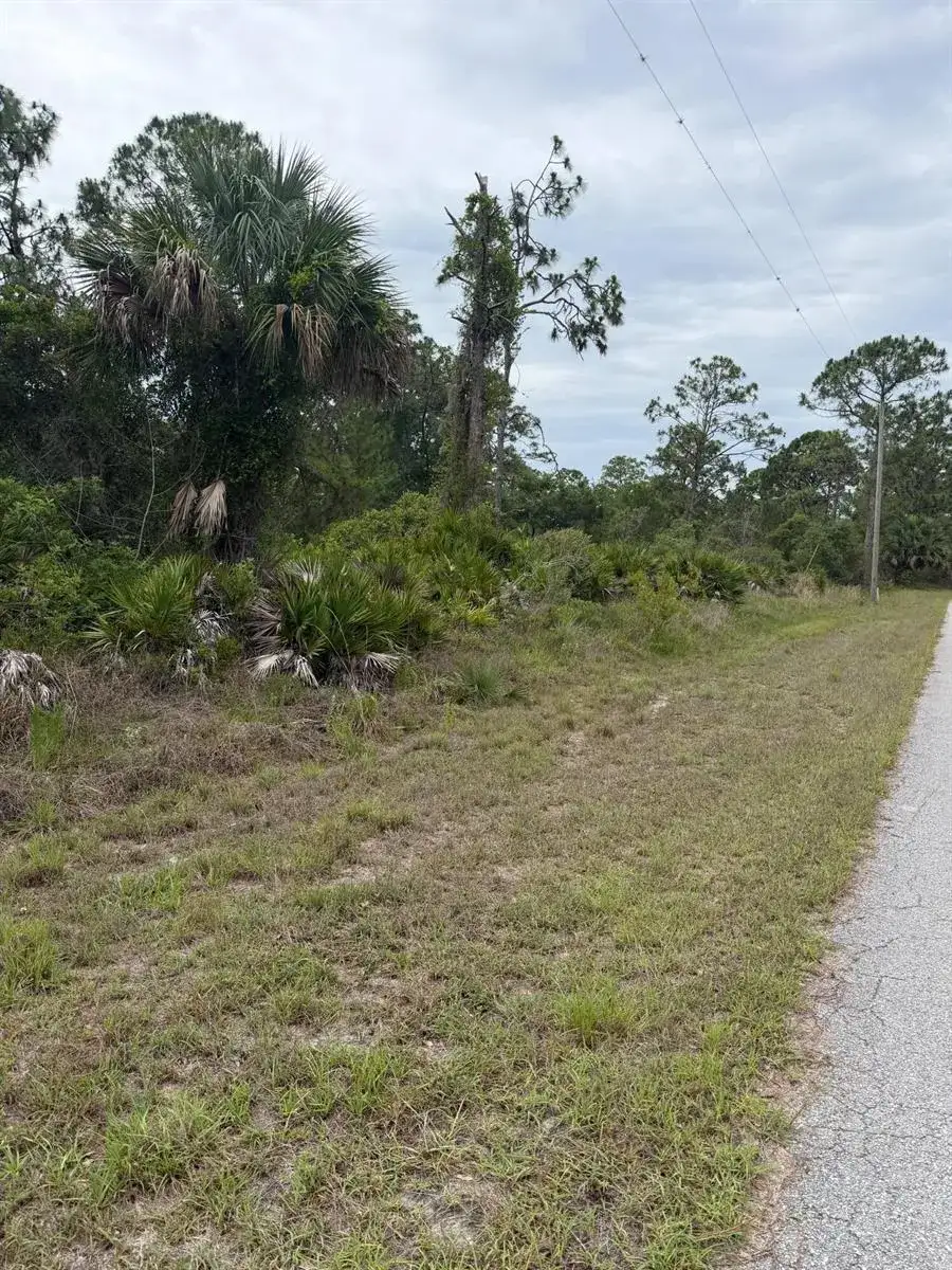 1170 Kingfisher Avenue NW, Lake Placid FL 33852 photo 5