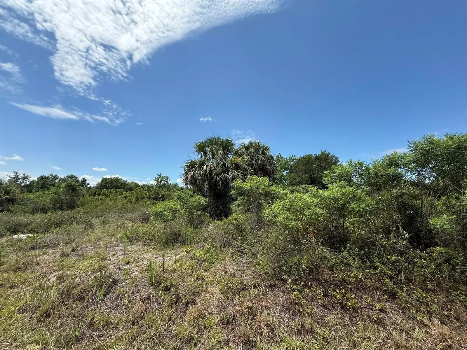 20174 NW 268th Street, Okeechobee FL 34972 photo 2