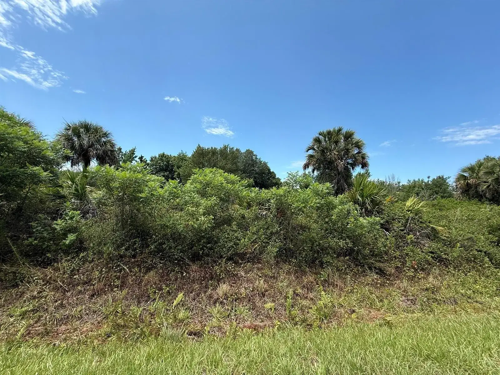 20174 NW 268th Street, Okeechobee FL 34972 photo 3
