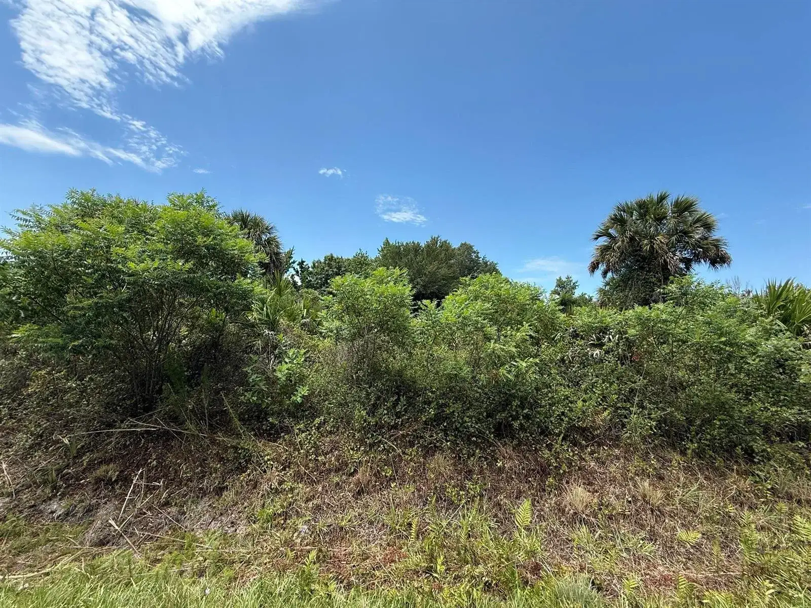 20174 NW 268th Street, Okeechobee FL 34972 photo 4