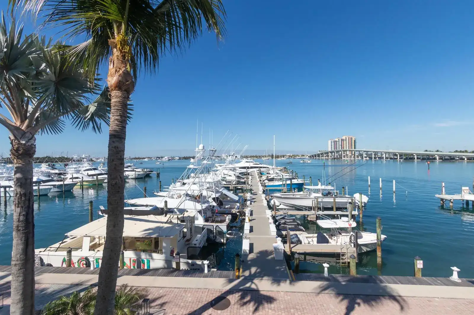 184 Lake Drive # 3102, Palm Beach Shores FL 33404 photo 2
