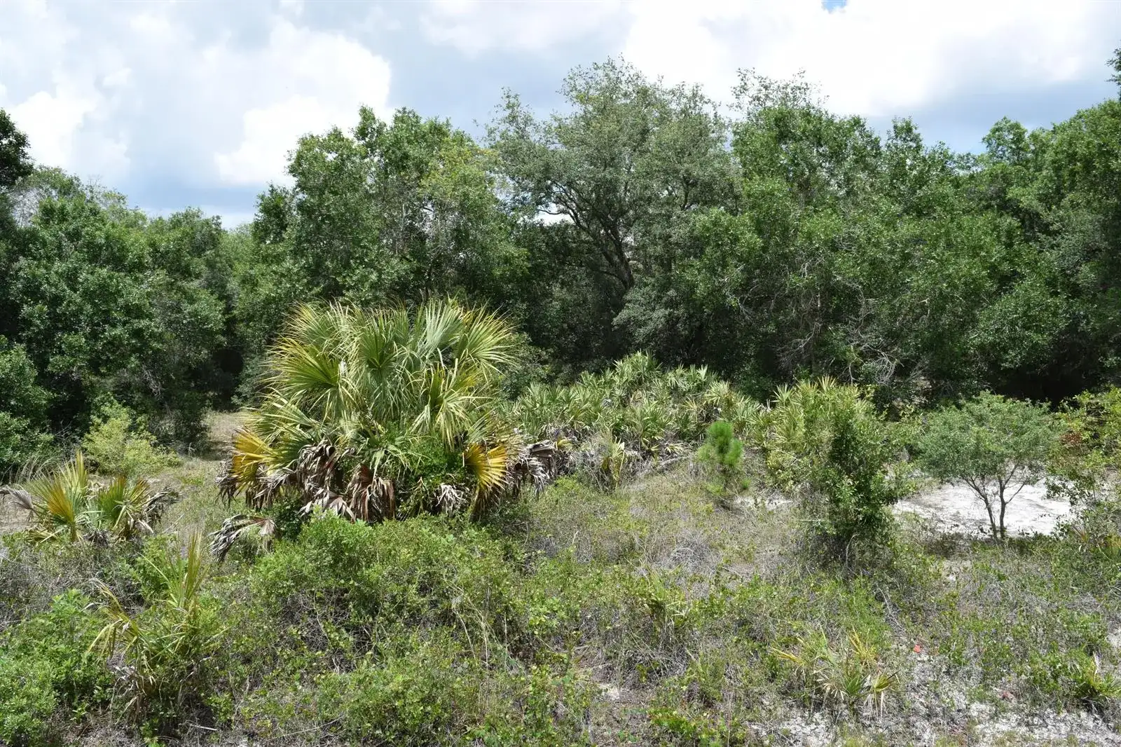 17119 NW 276th Street, Okeechobee FL 34972 photo 2