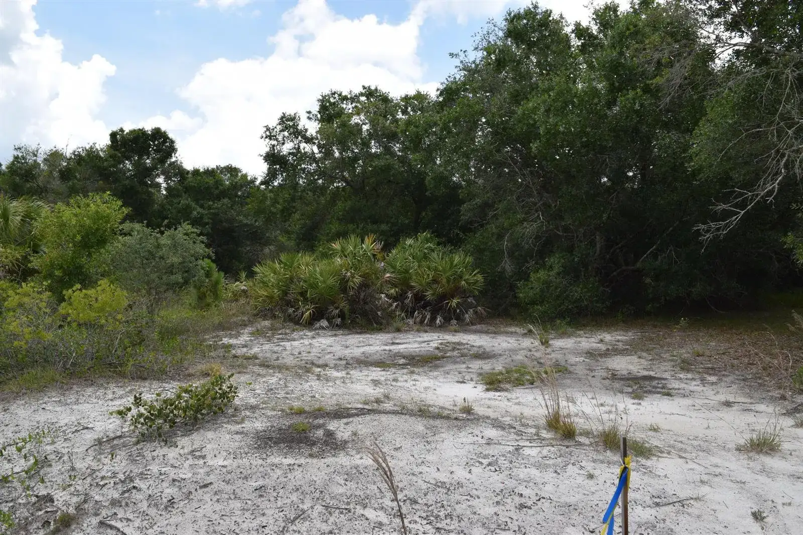 17119 NW 276th Street, Okeechobee FL 34972 photo 3