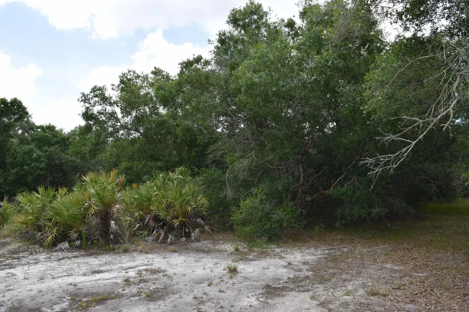 17119 NW 276th Street, Okeechobee FL 34972 photo 4