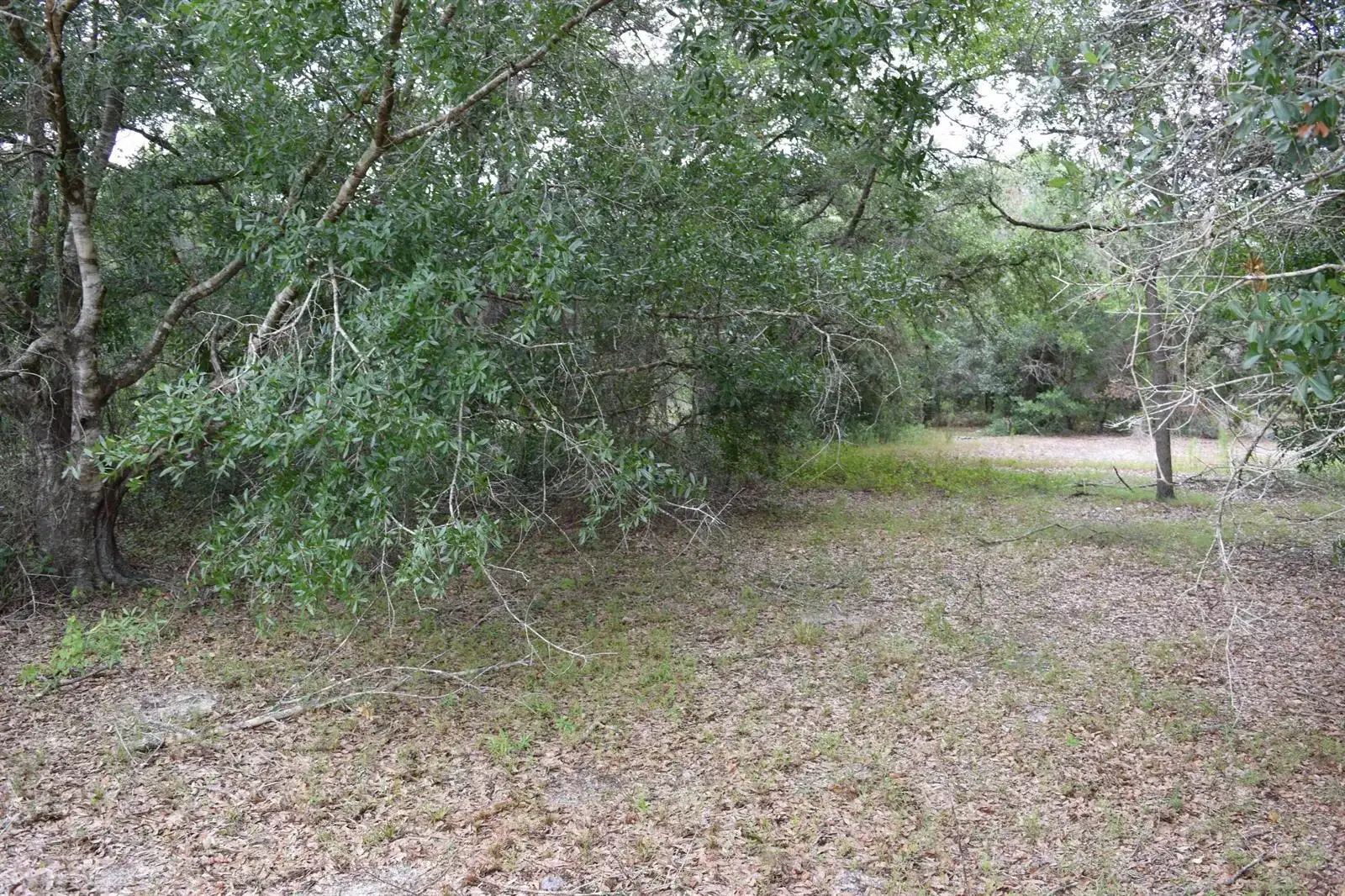 17119 NW 276th Street, Okeechobee FL 34972 photo 5