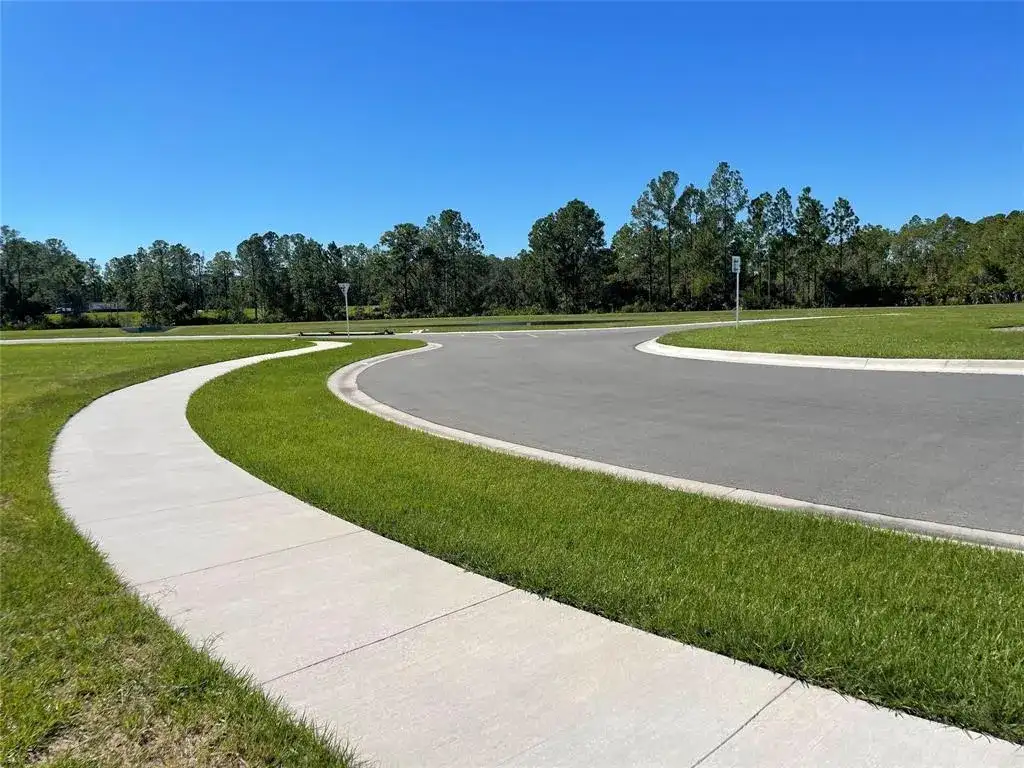 316 Heroic Road, Davenport FL 33837 photo 5