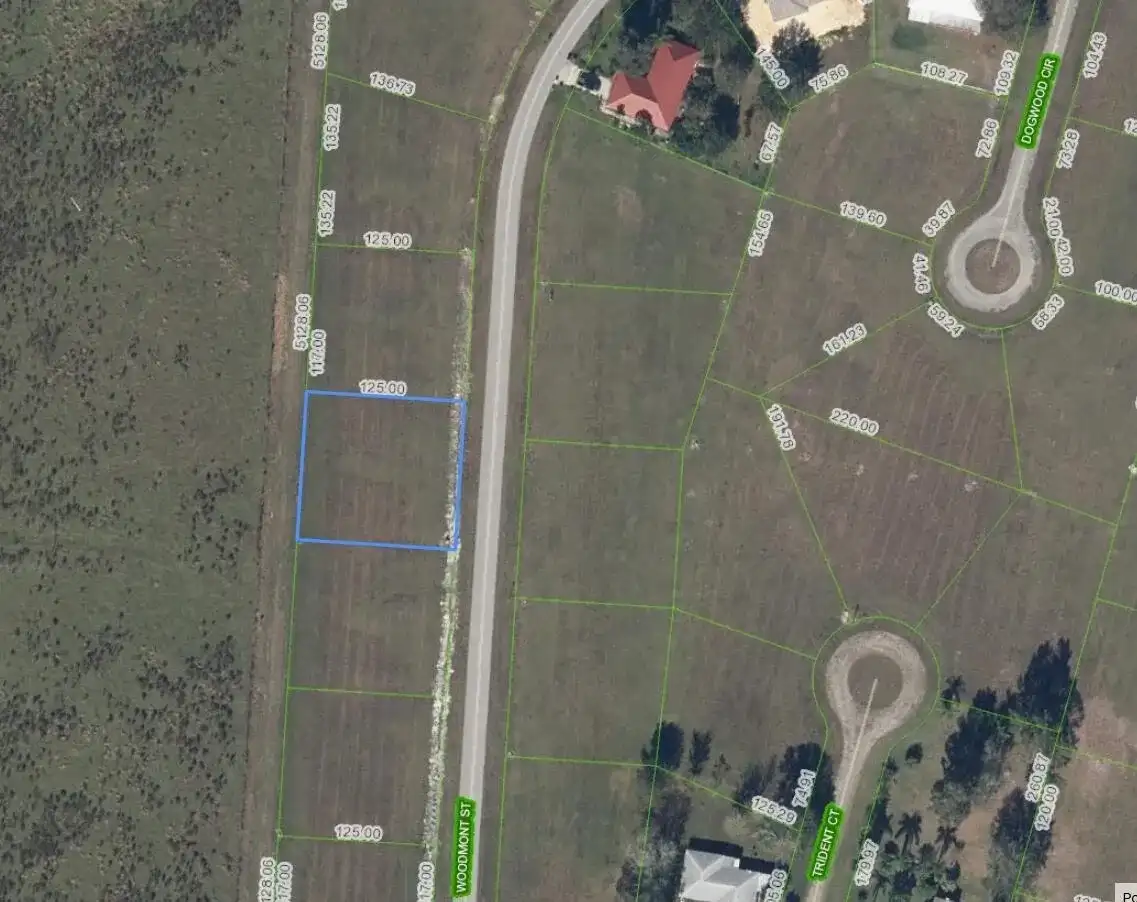 816 Woodmont Street, Sebring FL 33876