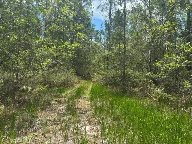 0 Water Road, Clermont FL 33868