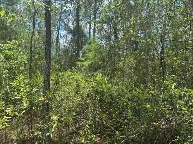 0 Water Road, Clermont FL 33868 photo 2
