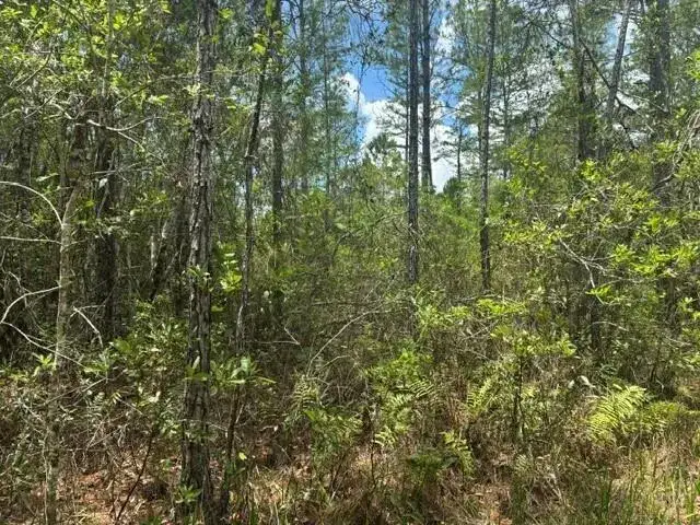 0 Water Road, Clermont FL 33868 photo 3