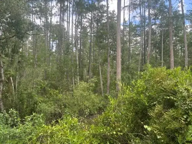 0 Water Road, Clermont FL 33868 photo 2