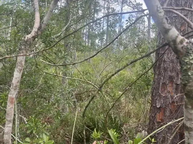 0 Water Road, Clermont FL 33868 photo 3