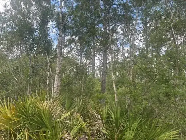 0 Water Road, Clermont FL 33868 photo 4