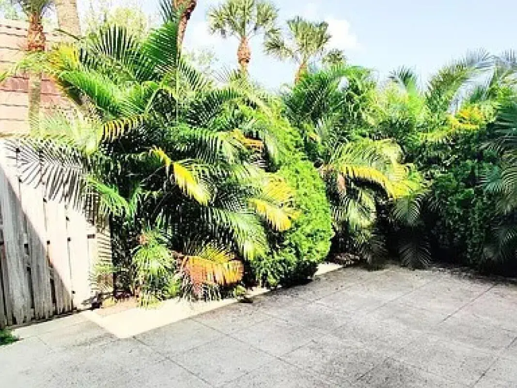 707 Mill Valley Place, West Palm Beach FL 33409