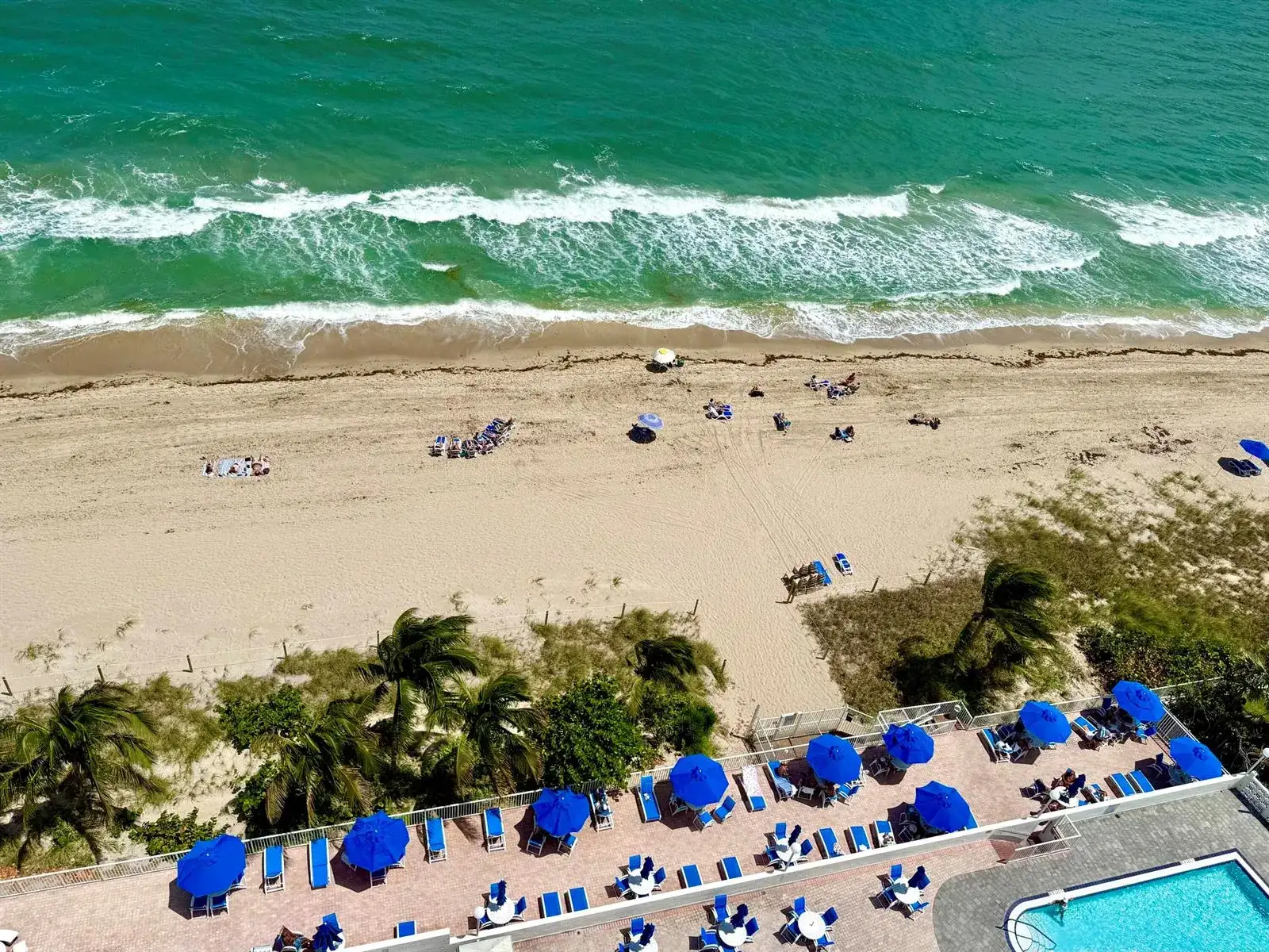 4250 Galt Ocean Drive # 14t, Fort Lauderdale FL 33308 photo 4