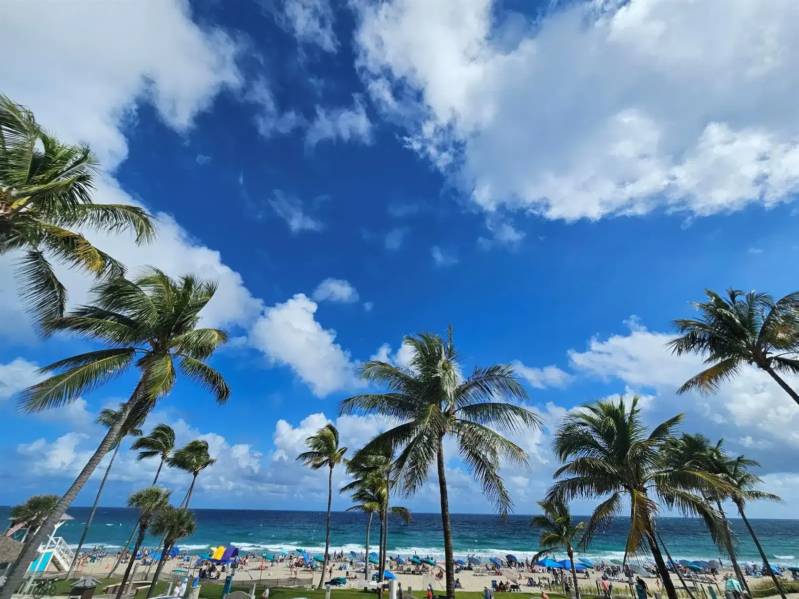 233 SE 21st Avenue # 101, Deerfield Beach FL 33441