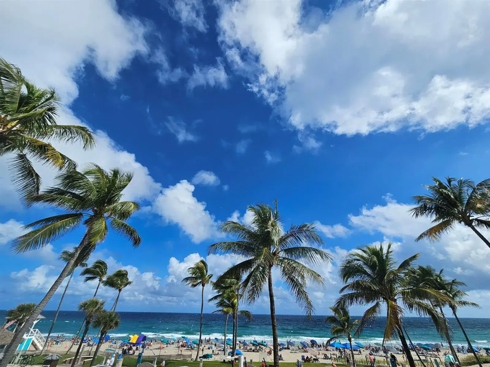 233 SE 21st Avenue # 101, Deerfield Beach FL 33441