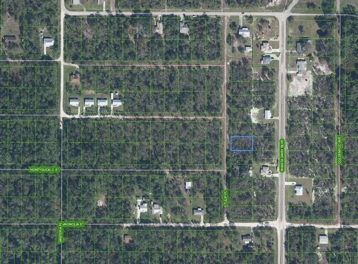 7020 Tulip Place, Sebring FL 33872 photo 2