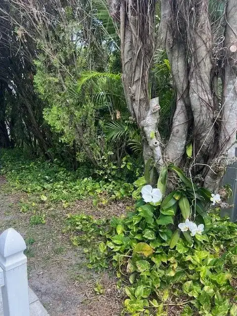 3503 NW 64th Court, Coconut Creek FL 33073 photo 5