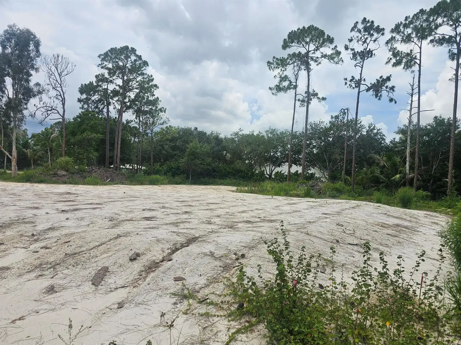 13841 76th Road N, FL 33412 photo 3