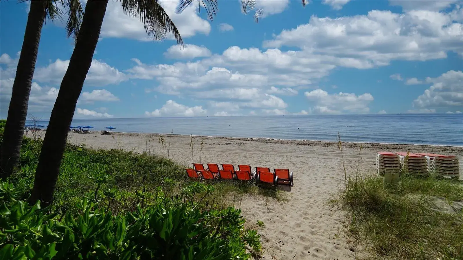 2011 N Ocean Boulevard # 1606, Fort Lauderdale FL 33305