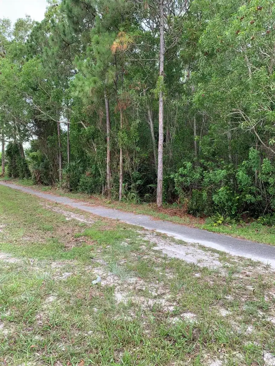 Xx Lot 3780 Mandarin/ 47 Th Court N, FL 33470 photo 5