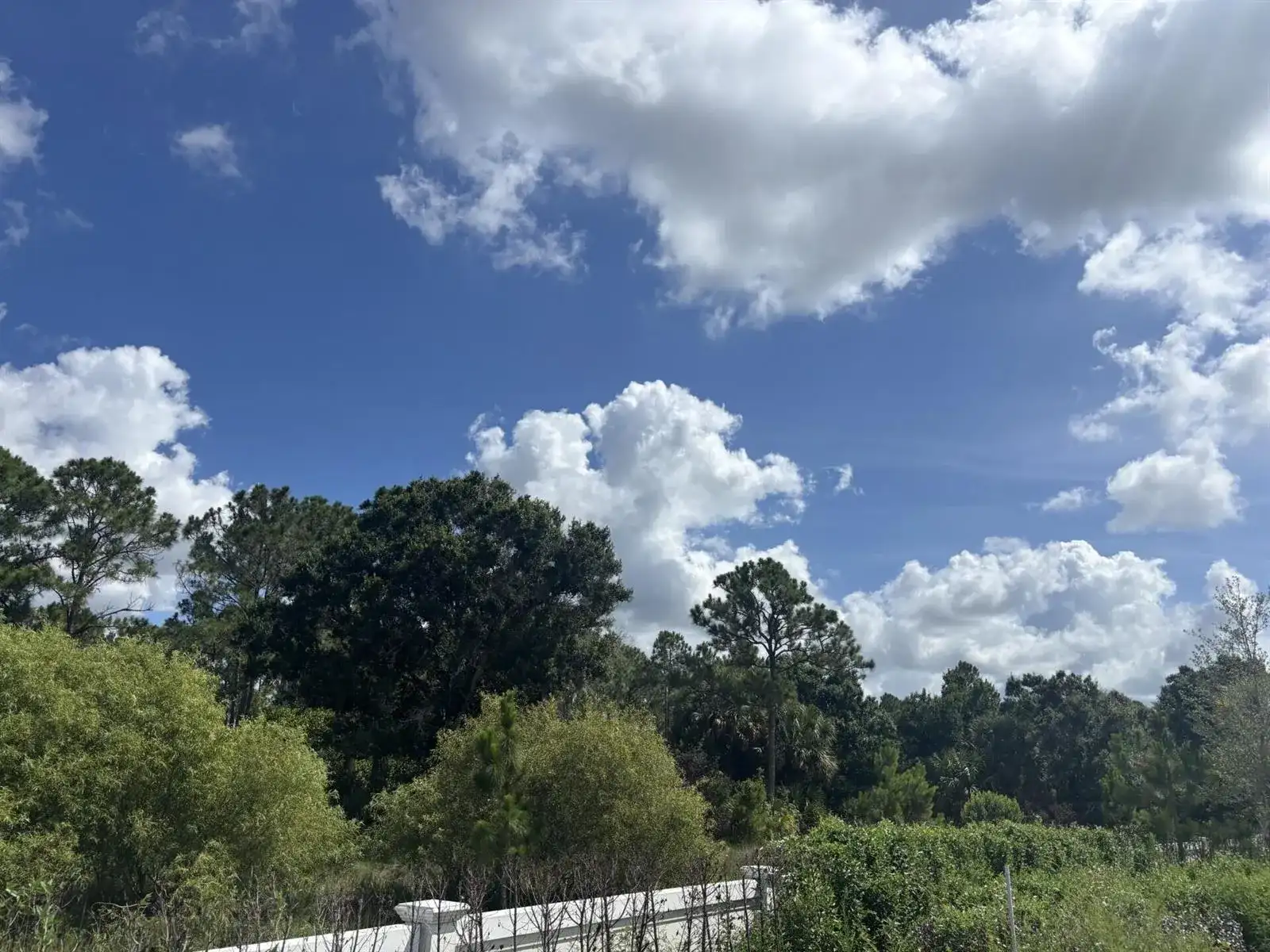 13101 Monte Rosa Court, Palm Beach Gardens FL 33412 photo 4