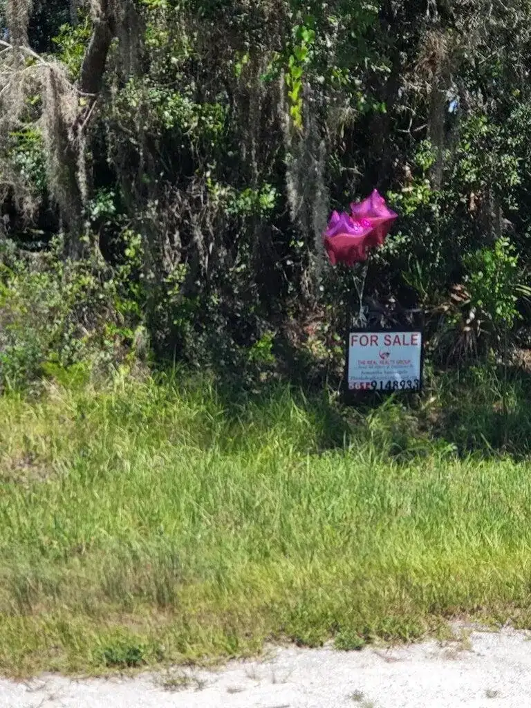 3249 Oriole Court, Lake Placid FL 33852 photo 4