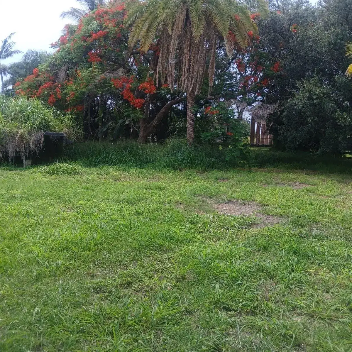 37121 E Main Street, Canal Point FL 33438 photo 3